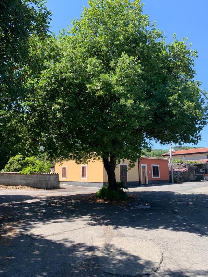 Rusina Holiday home Santa Venerina